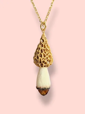 Collar Morchella Esculenta
