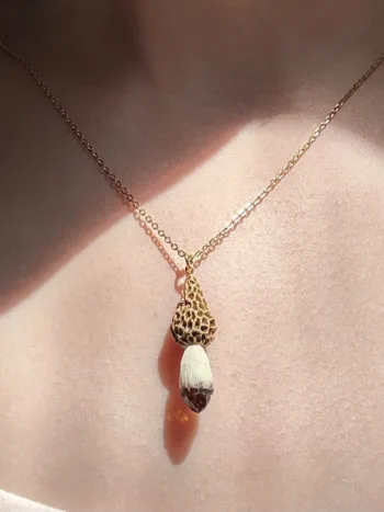 Collar Morchella Esculenta